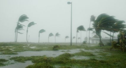 'Celia' seguirá provocando temporal de  lluvias en varias regiones del país.