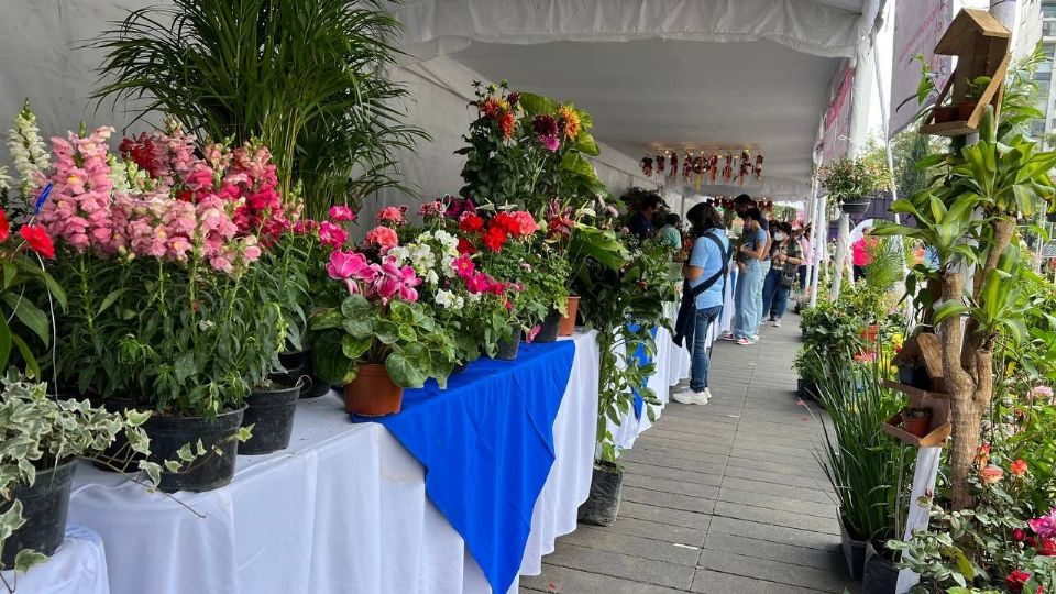 Feria de las Flores 2022