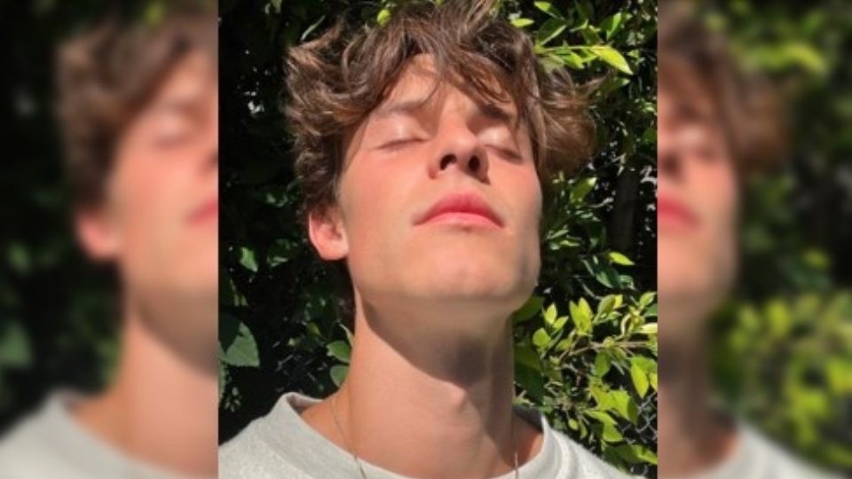 Shawn Mendes se retira de los escenarios momentáneamente