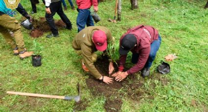 Brigadas de internos participan en Jornada de Reforestación en Cerro de la Estrella
