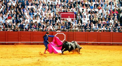 Otorga jueza suspensión provisional a organización que exige suspender corridas de toros