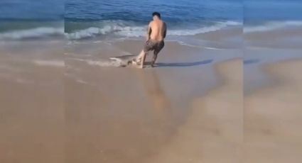 Hombre lucha contra un tiburón en una playa de Nueva York: VIDEO