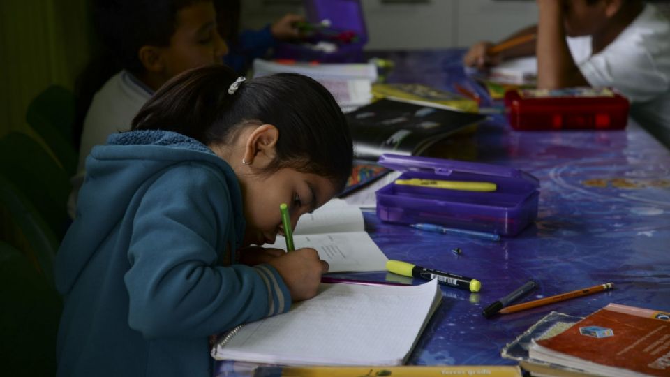 Niña estudiante de educación básica (imagen ilustrativa).