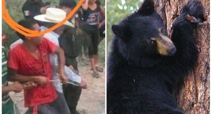 Pobladores de Coahuila matan a oso negro en peligro de extinción y posan para la foto