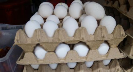 El huevo incrementó 32% respecto a la primera quincena de agosto 2021