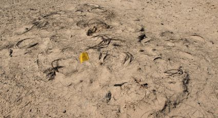 Descubren fosas clandestinas con 11 cuerpos en Uruapan