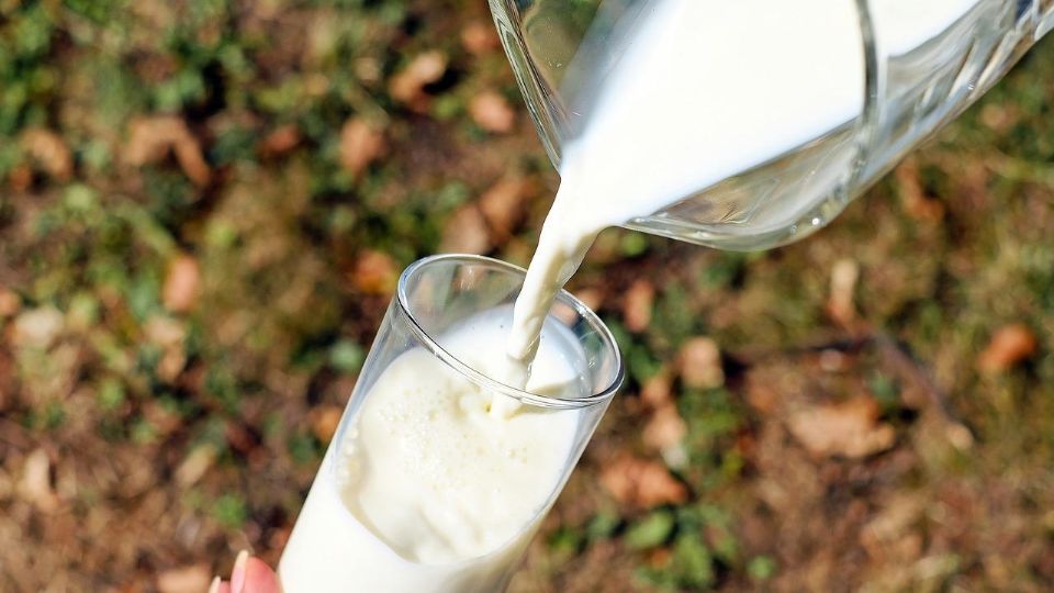 Todo tipo de leche aunque sea entera, descremada o cualquier otra, debe tener 30 gramos de proteína por litro.