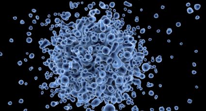 Cuáles son los síntomas del Henipavirus, nuevo virus descubierto en China