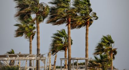 Tormenta tropical 'Julia' surge en el Atlántico