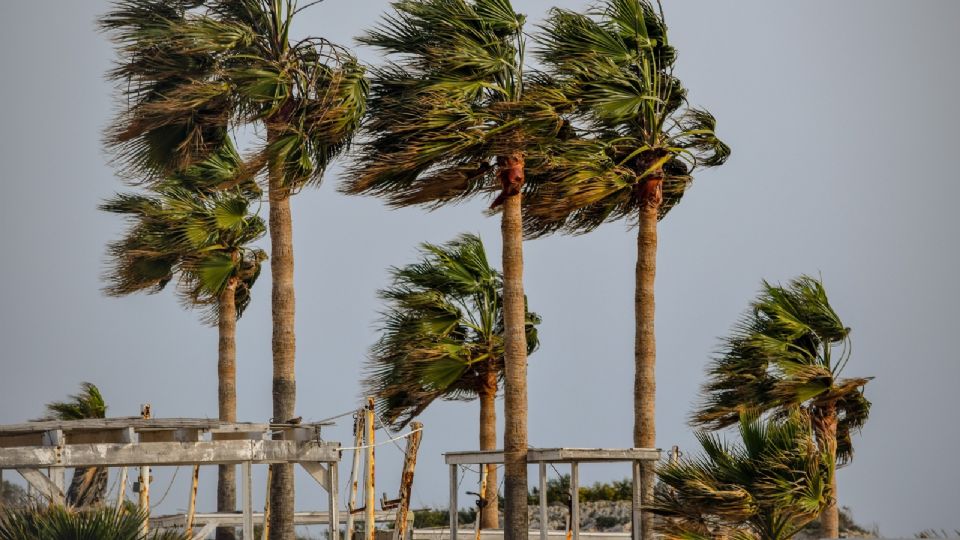 El SMN informa de la tormenta tropical Julia en el Atlántico.