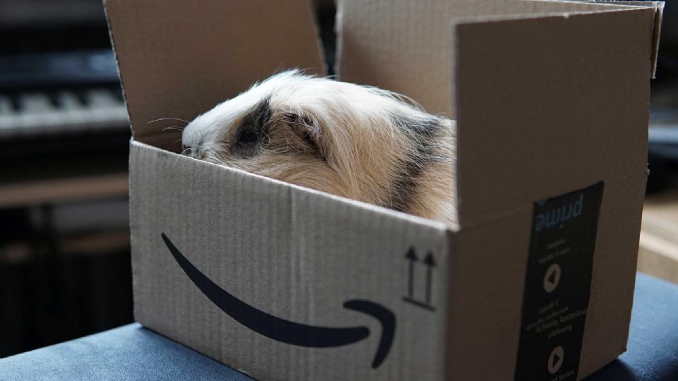 Amazon tendrá un 'segundo Prime Day': Prime Early Access Sale.