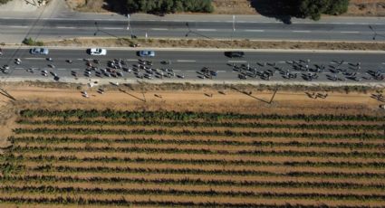 'En los últimos 5 y 10 años se ha deteriorado el Valle del Guadalupe'