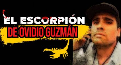 El Escorpión de Ovidio Guzmán y su lazo con el crimen