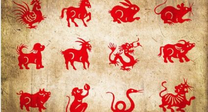 Horóscopo chino: Estos son los animales zodiacales más inteligentes