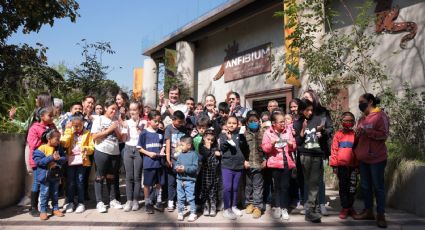 Invierten 180 mdp para hacer del Zoológico de Chapultepec en su 100 aniversario