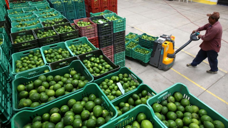 La economía mundial tendrá una desaceleración.