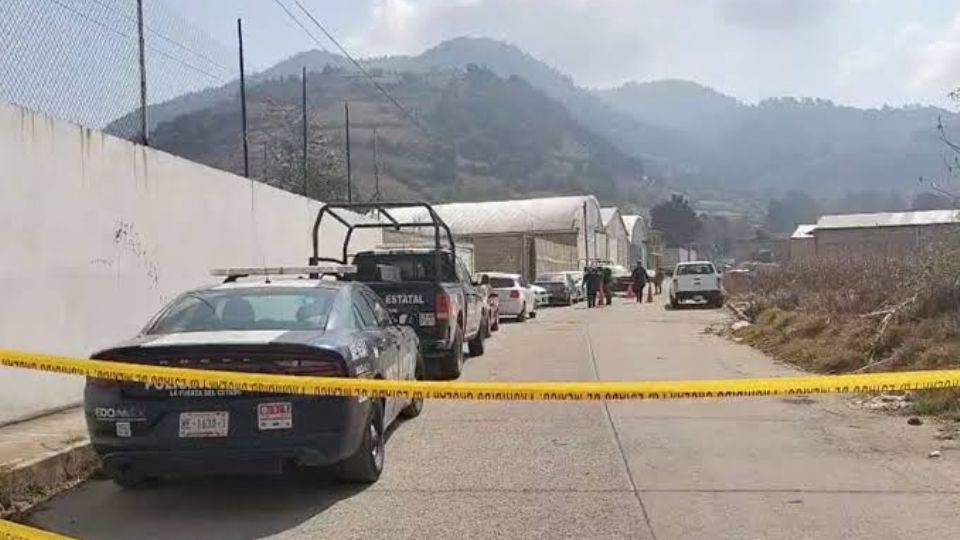 Los cuerpos encontrados en una fosa clandestina de Tenango del Valle serían integrantes de grupos rivales al CJNG.