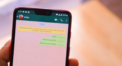 Estados secretos de WhatsApp: Qué son y cómo funcionan