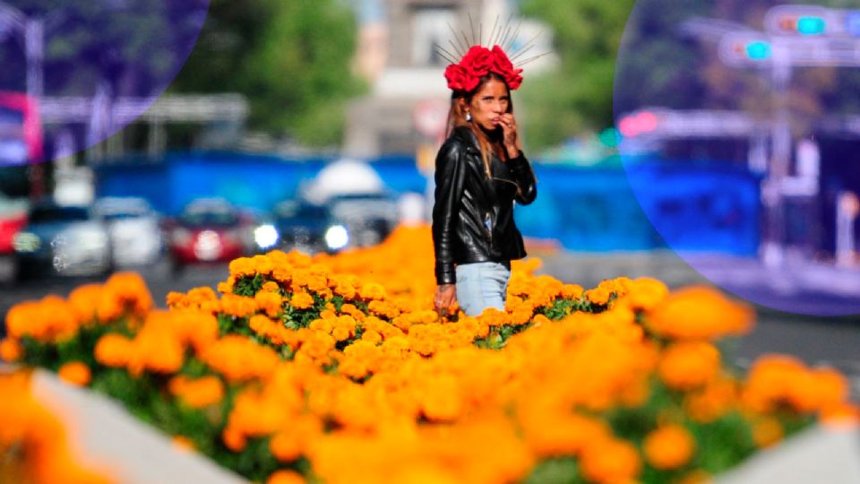 El Festival de Flores de Cempasúchil CDMX se llevará a cabo del 18 al 31 de octubre.