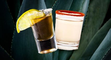 ¿Cuál es la diferencia entre el mezcal y el tequila? Aquí te explicamos