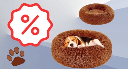 Amazon: Estas camas para perro son cómodas y están en menos de 500 pesos