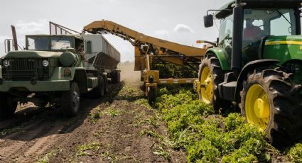 OCDE y FAO alertan sobre crisis histórica en el sector agrícola de México y América Latina