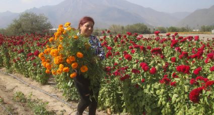 ¡Tómate la selfie!, en la ‘cuna’ de la flor de cempasúchil en Nuevo León