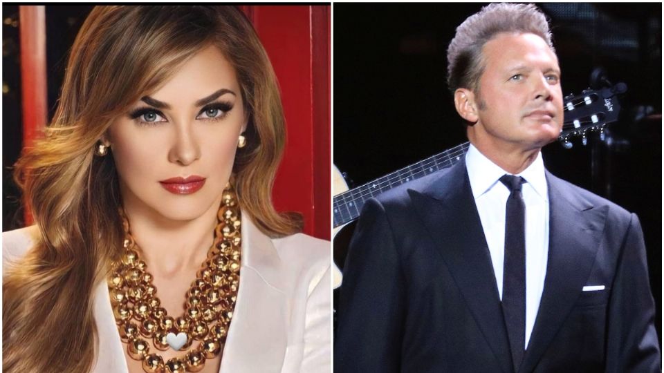 Araceli Arámbula rechaza los 25 mdp de pensión alimenticia que le dio Luis Miguel.