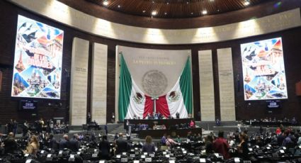 Avalan diputados limitaciones y reglas para la objeción de conciencia