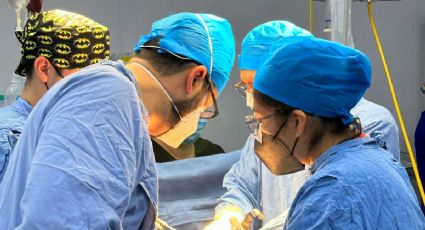 México Cómo Vamos: El país avanza pero no en salud, seguridad, educación y empleo formal