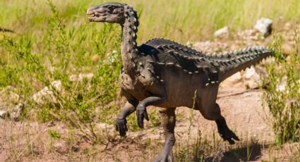 Experto de la UNAM afirma que los dinosaurios no se han extinto del todo ¿en qué animales evolucionaron?