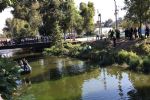 Bomberos localizan y extraen cuerpo de un hombre del Canal Nacional