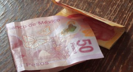 En México no se cumple con el pago de pensión alimentaria, alerta diputada federal