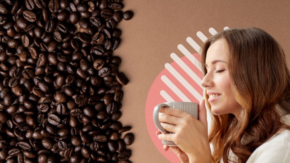 La universidad de Harvard recomienda no tomar más de 3 a 4 tazas de café al día.