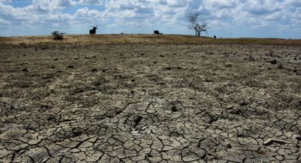 Partido Verde alerta sobre impacto social y económico por sequía
