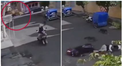 ¡Desde la tercera cuerda! Perro se lanza desde el techo contra un motociclista |VIDEO
