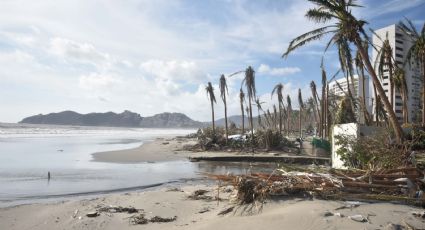 El Tianguis Turístico México 2024 se queda en Acapulco, pese a la tragedia de 'Otis'