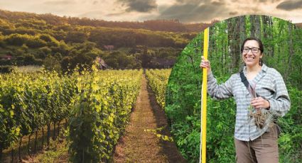 Tres de cada cuatro plantas que no han sido descubiertas en peligro de desaparecer