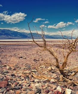La sequía mundial que viene