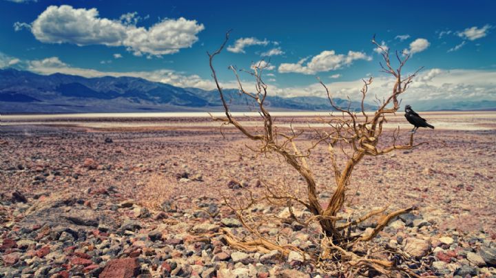 La sequía mundial que viene