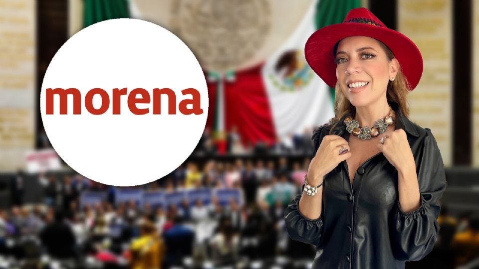 La exdiputada aclaró que las declaraciones son propias.