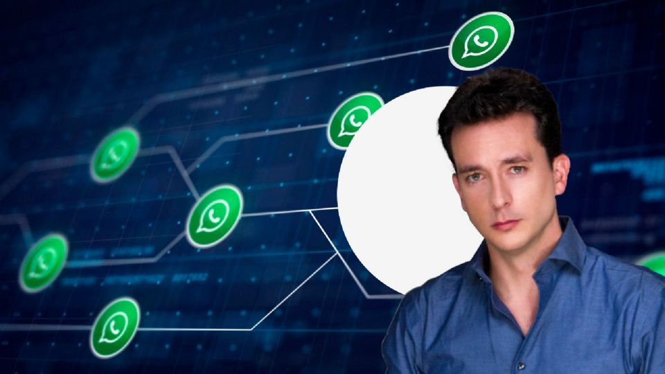 Conoce los mejores trucos para explotar tu whatsapp al máximo.