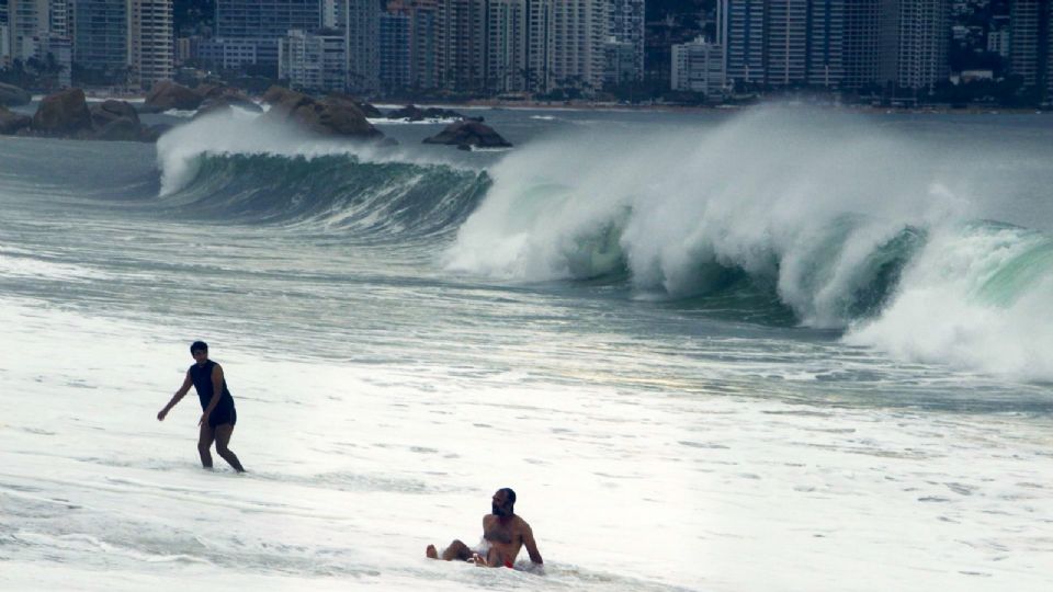 Fallece bañista tras ataque de animal marino.