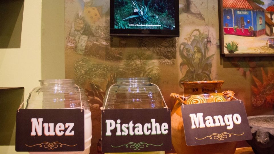 El Museo del Pulque en la CDMX que sí o sí debes conocer; está saliendo de esta estación del Metro.