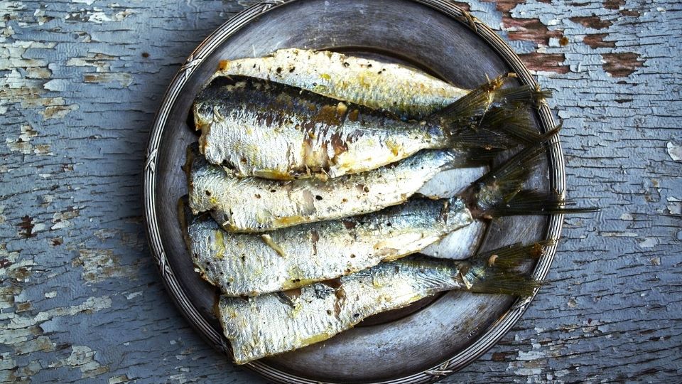 
¿Los suplementos de aceite de pescado son una estafa? Universidad de Harvard revela impactante estudio
