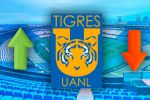 Futbol de estufa 2024: Tigres bajas, altas y rumores
