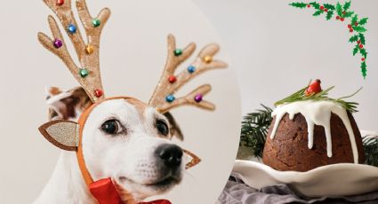 Navidad 2023: Estos son los alimentos que pueden ser tóxicos para tu perro