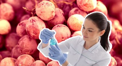 Uvas rojas: ¿Cómo podrían ayudar a prevenir el cáncer?