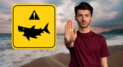 Tras ataque de tiburón en Jalisco, activan alerta morada, ¿qué significa?