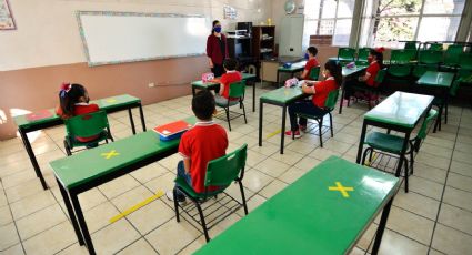 México experimentó la peor caída en resultados de la prueba PISA: IMCO